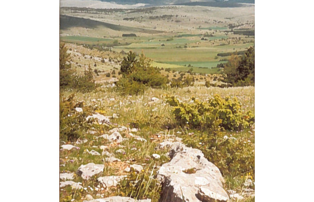 CEI - Le paysage sec et rocheux du Causse Méjean, avec ses petits champs créés dans les dépressions qu'on appelle "dolines"
